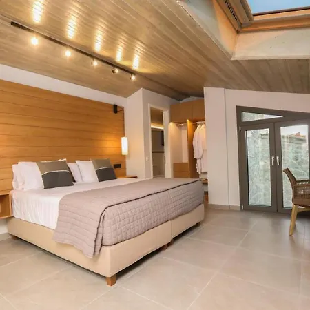 Будинок відпочинку Vila De Lux Cu Piscina Privata Ефоріє-Норд